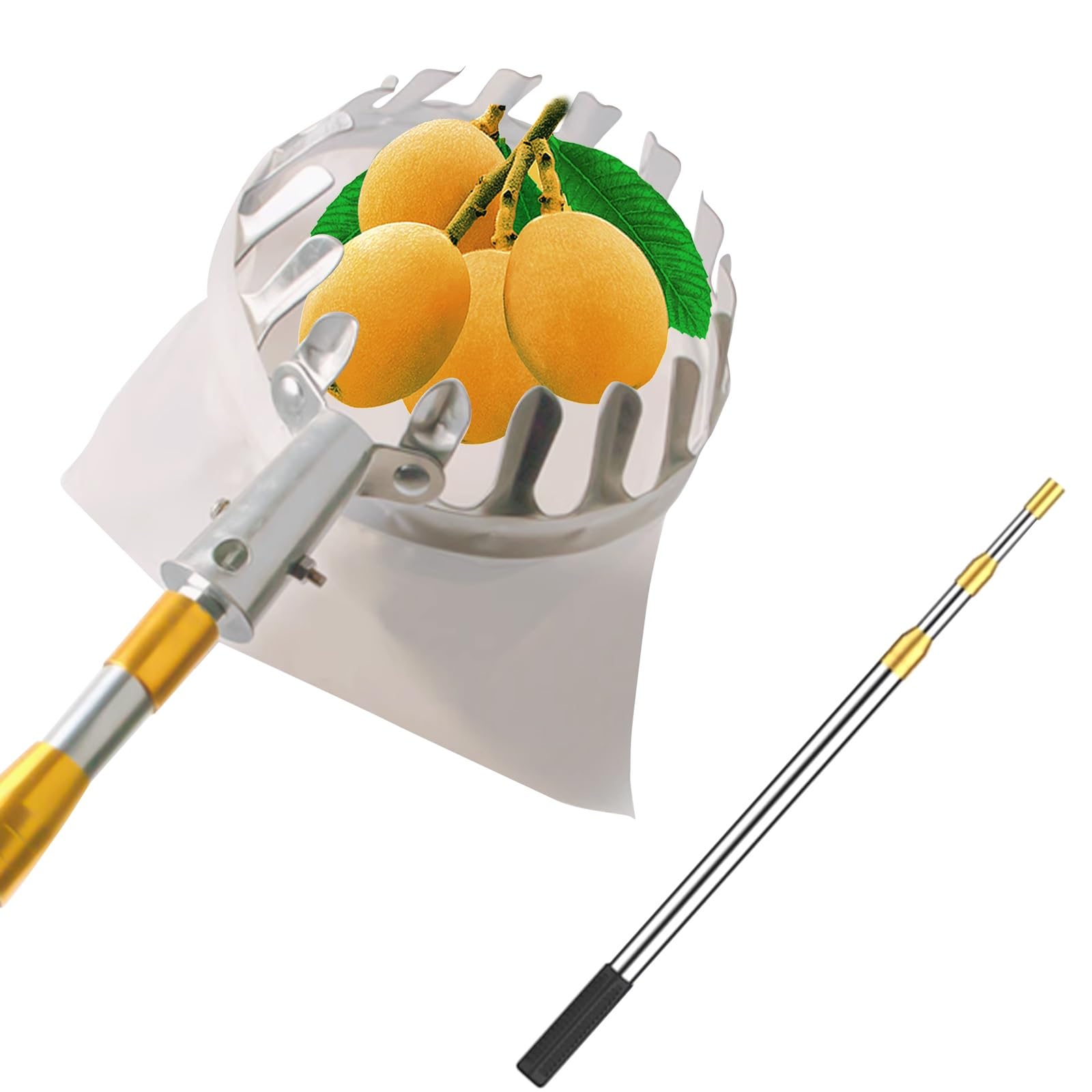 raccoglifrutta, Raccoglitore di pere con Sacco in Tessuto, Asta raccoglifrutta in Acciaio Inox, Estensibile, for Albicocche e(2.5m)