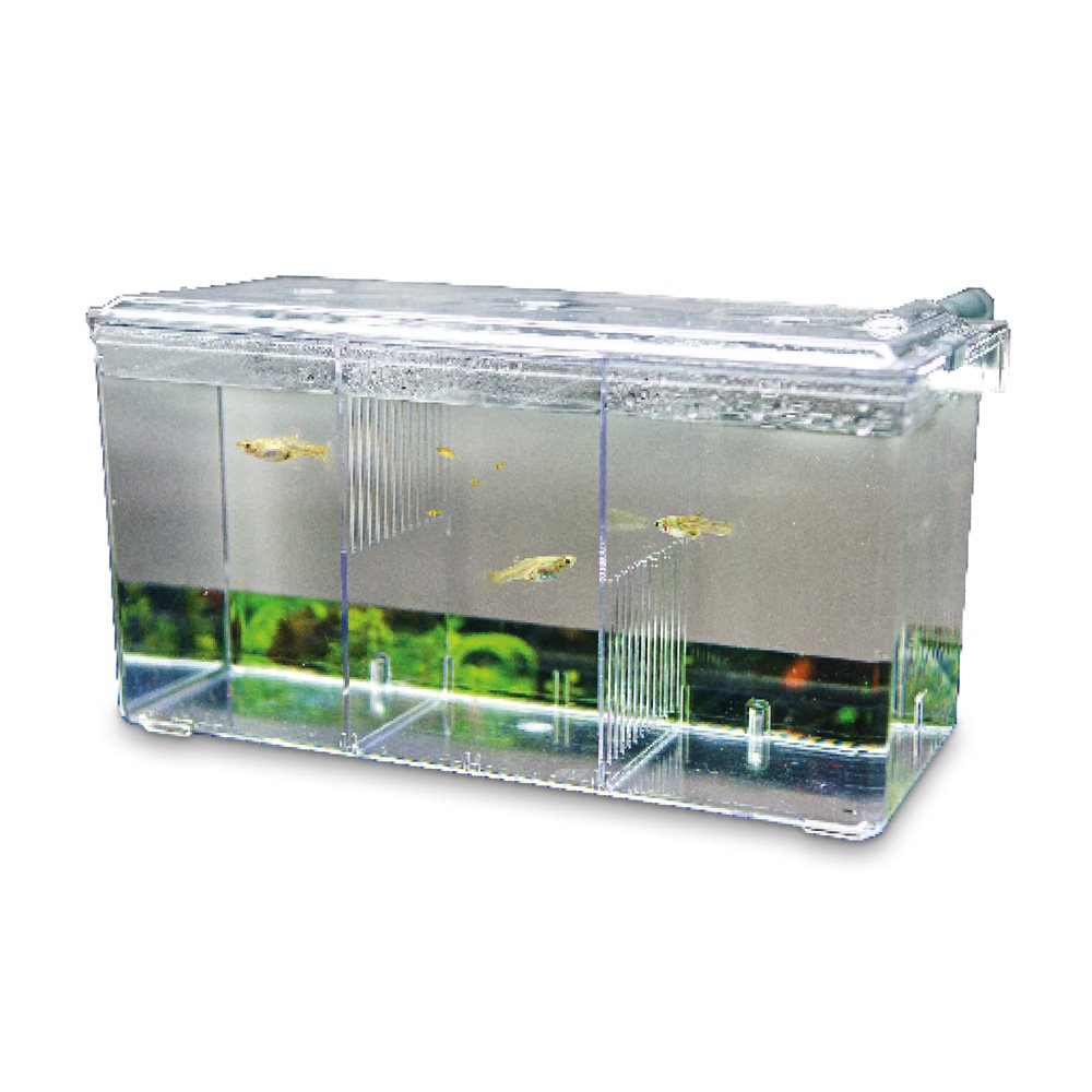 HOBBY Acuario Clásico Plástico para Exteriores con Abastecimiento de Agua Dulce por Elevación de Aire para Pez
