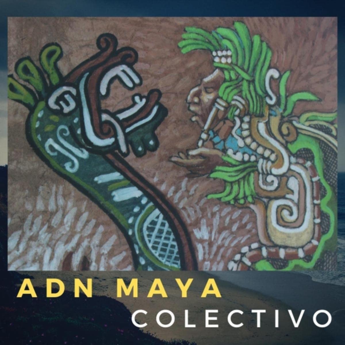 Adn Maya Colectivo