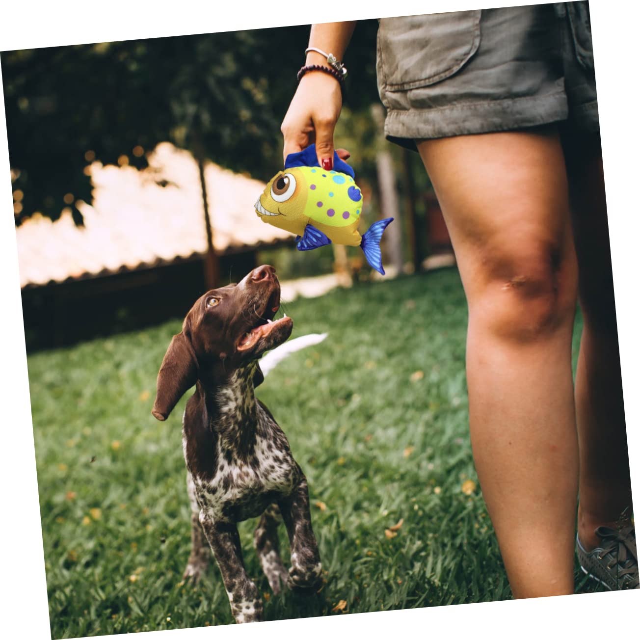FRCOLOR 3 Juguetes para Mascotas pequeños Juguetes masticables para Cachorros Juguetes de Sonido para Perros Juguetes masticables para Mascotas Juguetes para Cachorros Dogman Juguetes Almohada Tela