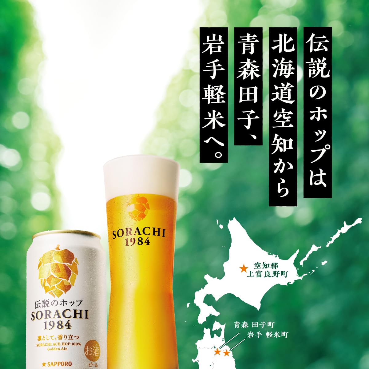 SORACHI(ソラチ) SORACHI1984 日本 350ml×12本
