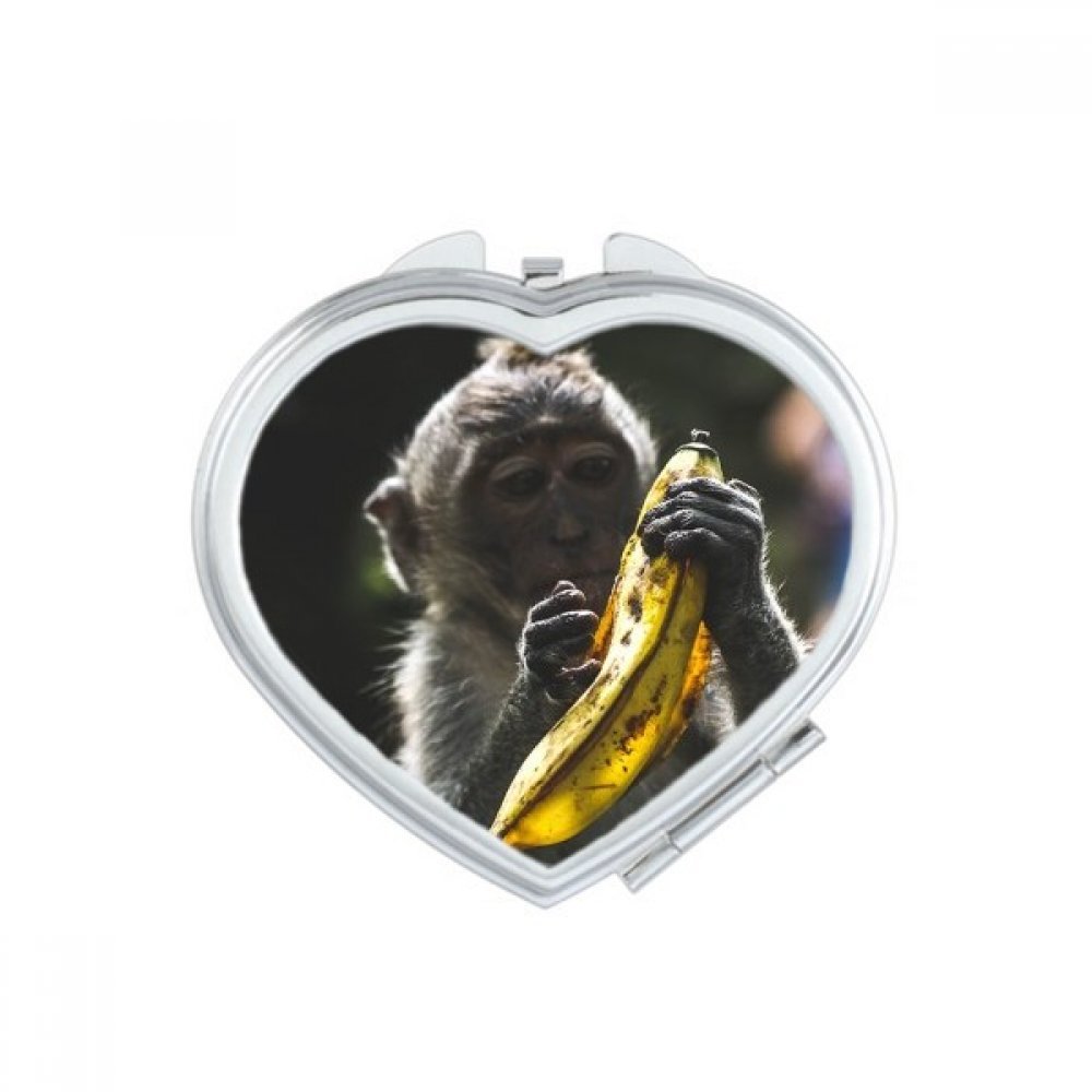Miroir de poche à la main lion sauvage multicolore, l'idée cadeau mignon pour femme