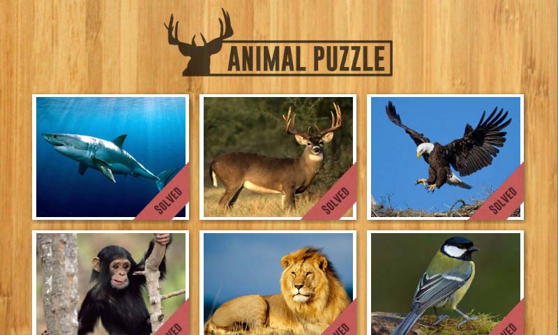 Amazing Animals Jigsaw - App on Amazon Appstore