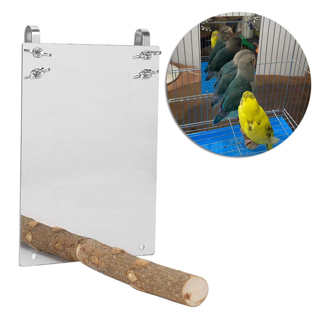 Cryfokt Specchio per Pappagalli Durevole in Acciaio Inossidabile con Asta di Supporto in Legno per Accessorio Gabbia per Uccelli, Attira L'attenzione e Riduce il Tempo Noioso, Ideale per Pappagalli di
