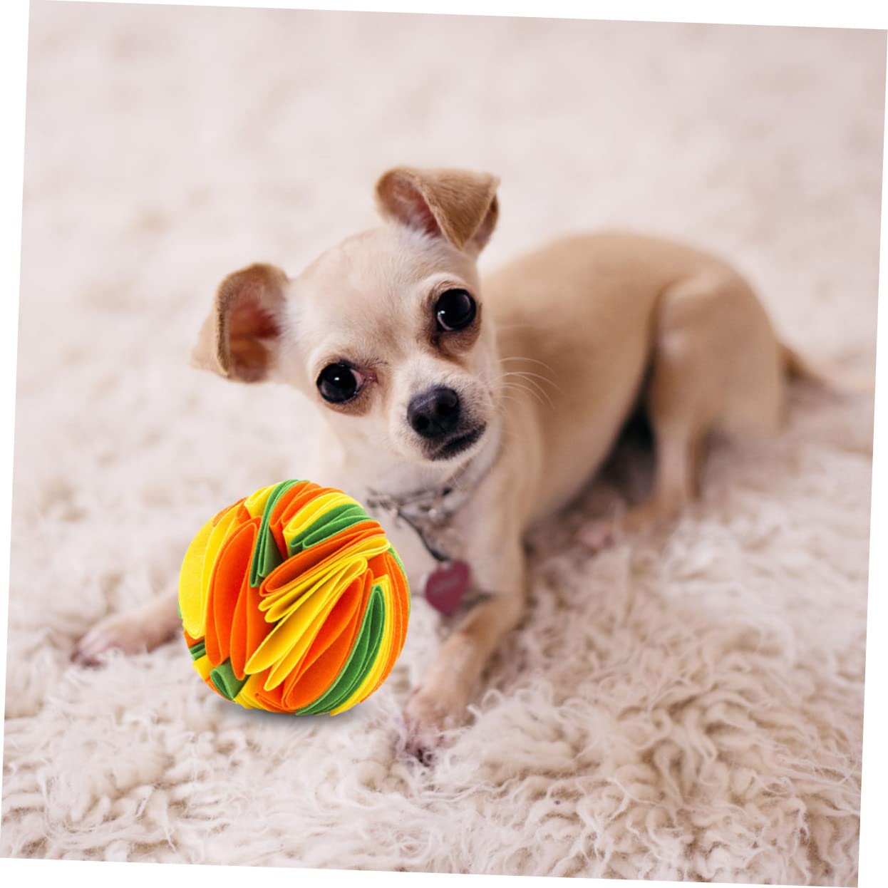 FRCOLOR 2 Bolas de olfateo para Perros, Juguetes para Masticar para Perros, Juguetes para Comida para Mascotas, comederos para Gatos, Juguetes para Mascotas, Juguetes para Mascotas