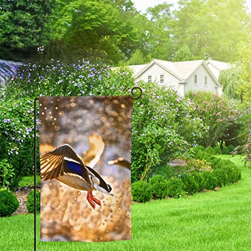 Drapeau de jardin colvert imprimé déco extérieur double face 12,5 x 18