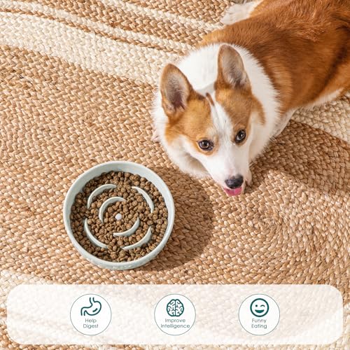 vancasso Slow Feeder Dog Bowl, 1.5 Cups Ceramic Dog Food Dish for Fast Eaters Medium Breed, Puzzle Bowl for Small Dogs and Cats, Grayish Cyan by vancasso - Used condition - Image 5