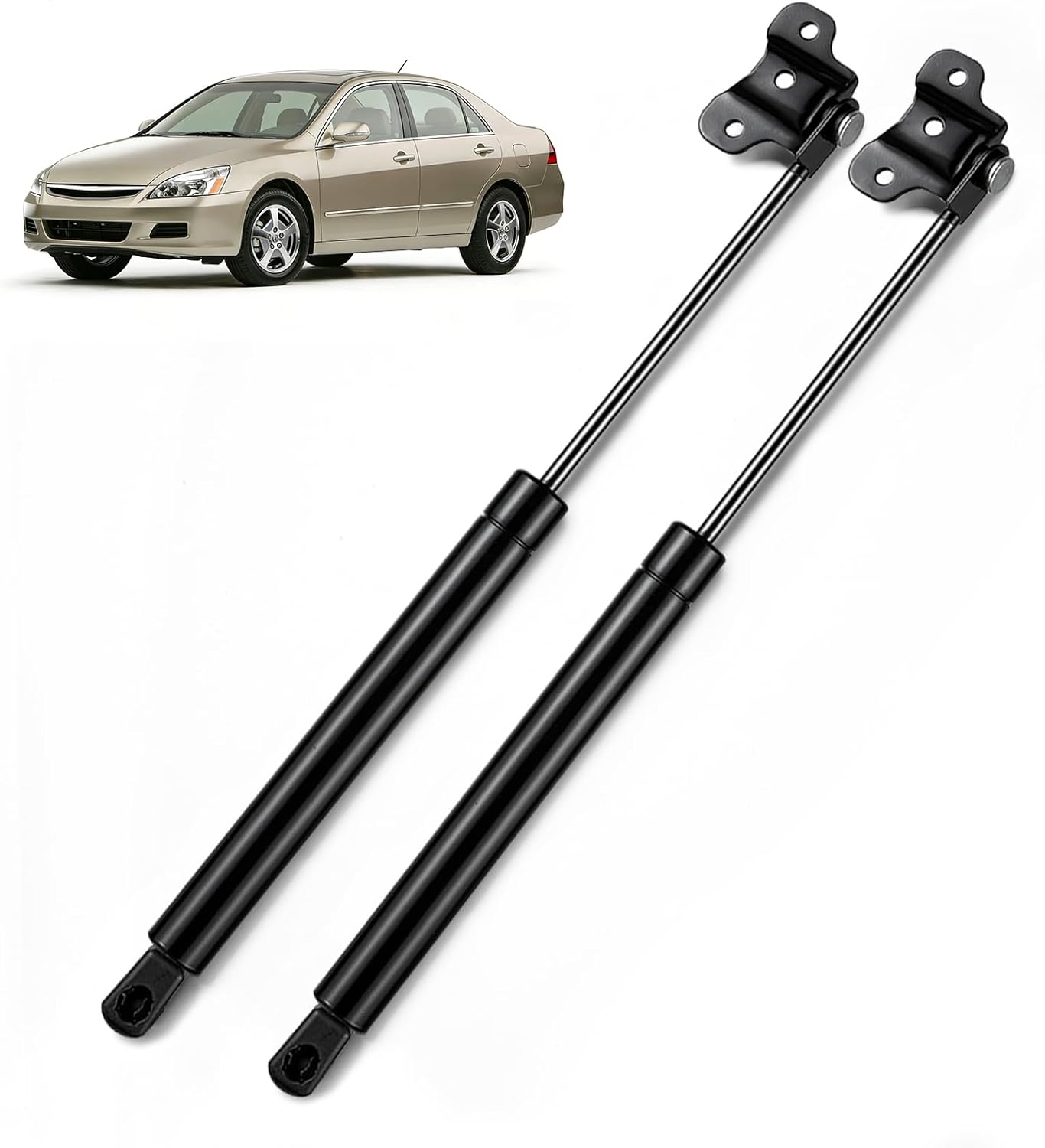 ARANA Hood Struts Shocks for Honda Accord 2003 2004 2005 2006 2007, Engine Hood Holder Lift Support Rods for Honda Accord, Replacement OEM 74145SDR305 74145SDBA02 74195SDBA02, 2 Pcs