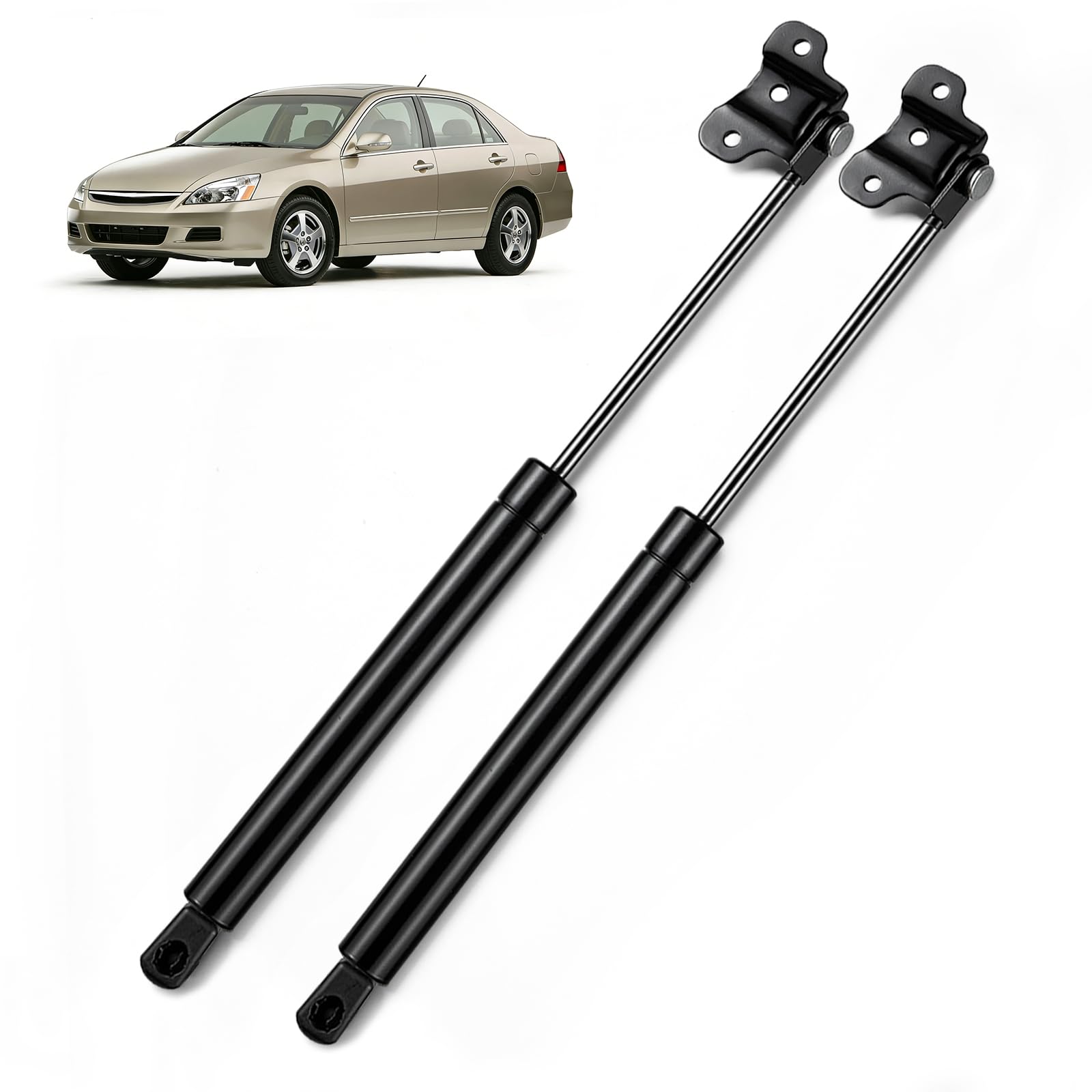アクスレーター　25.0 Amazon.com: ARANA Hood Struts Shocks for Honda Accord 2003 2004