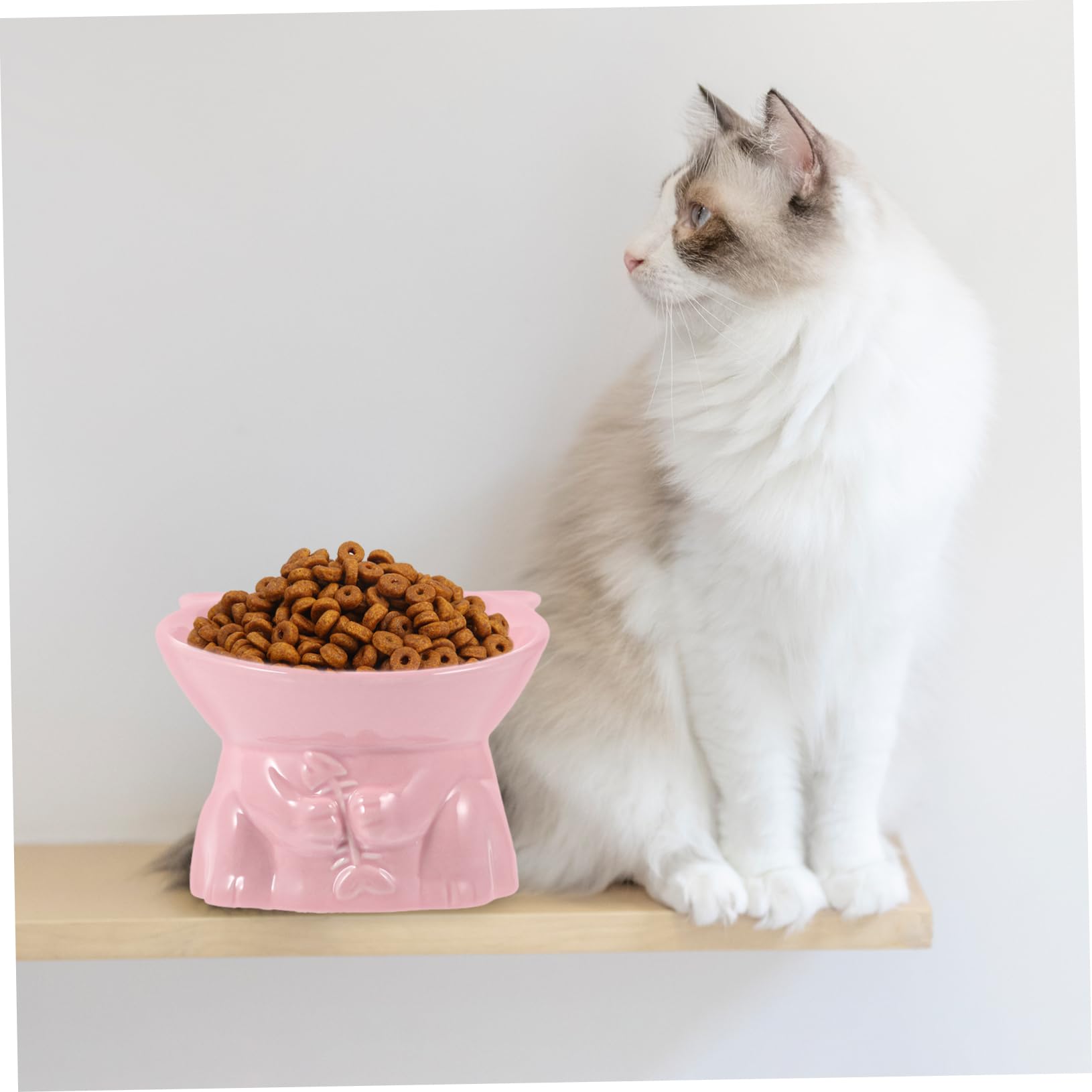 VICASKY Erhöhter Katzennapf aus Keramik mit Einzigartiger Form Leicht zu Reinigen und Bissfest zum Füttern und Trinken für Katzen und Haustiere