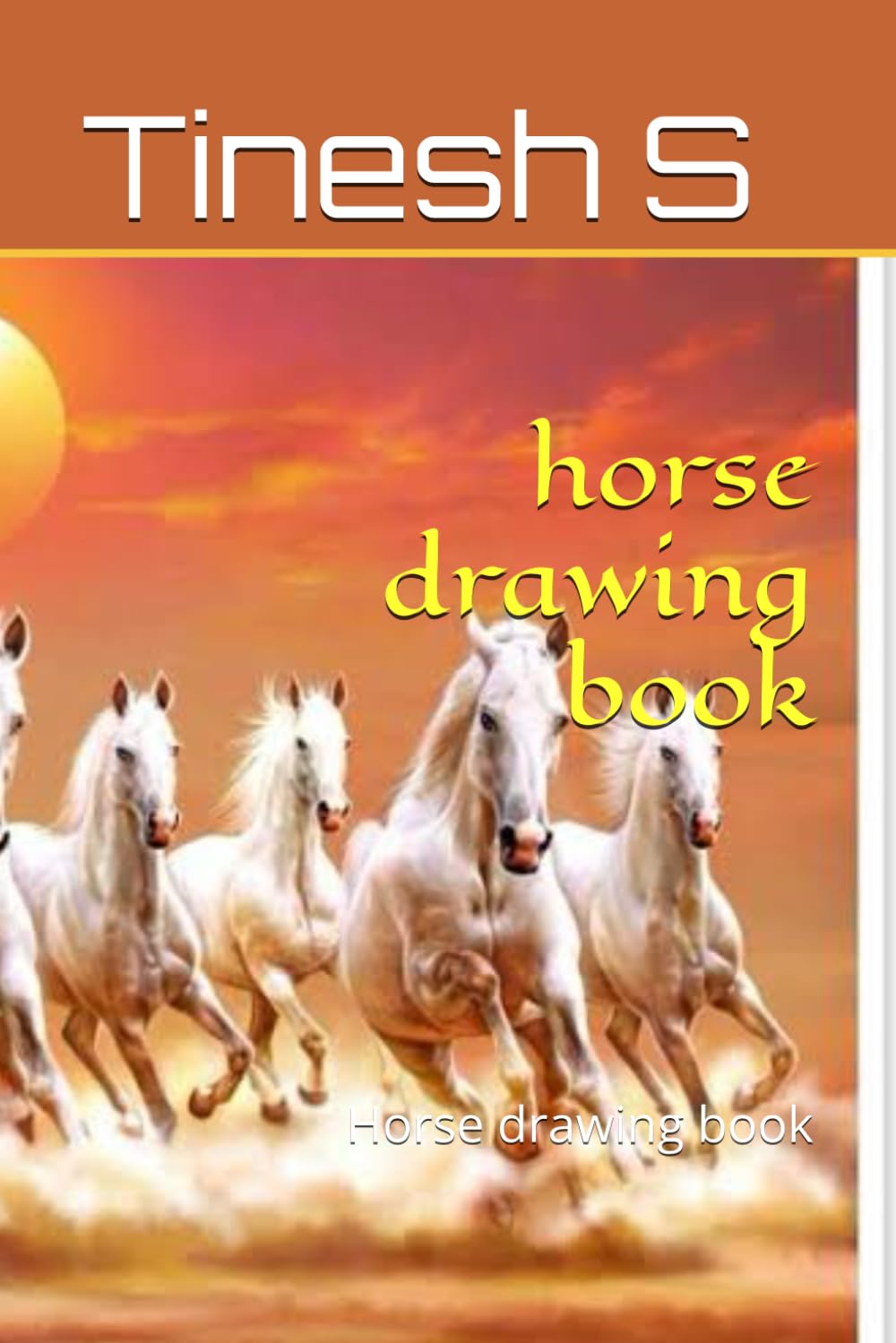 horse drawing book: Horse drawing book
