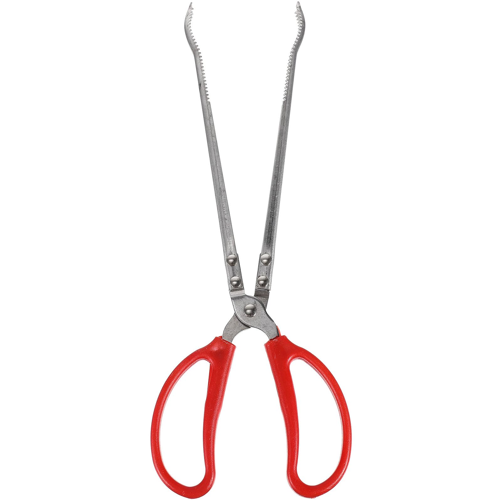 Homoyoyo Pinza per Accessorio Domestico in Acciaio Inossidabile Leggera e Resistente Pinza Multifunzione per Ittici per Cucina e Attività di Pesca