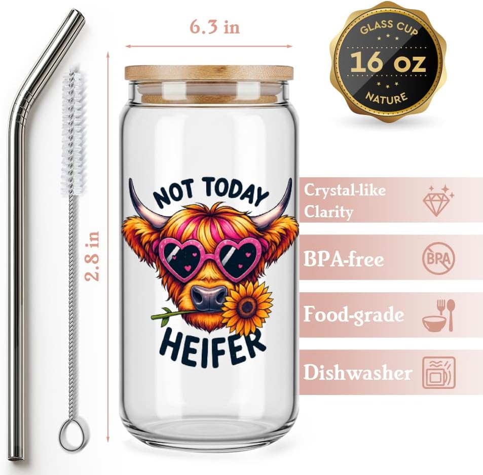 Cute Wildflower Highland Cow Cup Gifts for Women,Highland Cow Lover,Girls,Mom,Sister,Friends,Cowgirls,Christmas, Birthday Gifts Mug,Not Today Heifer Coffee Drinking Glass Cup with Lid and Straw -144 - Image 2