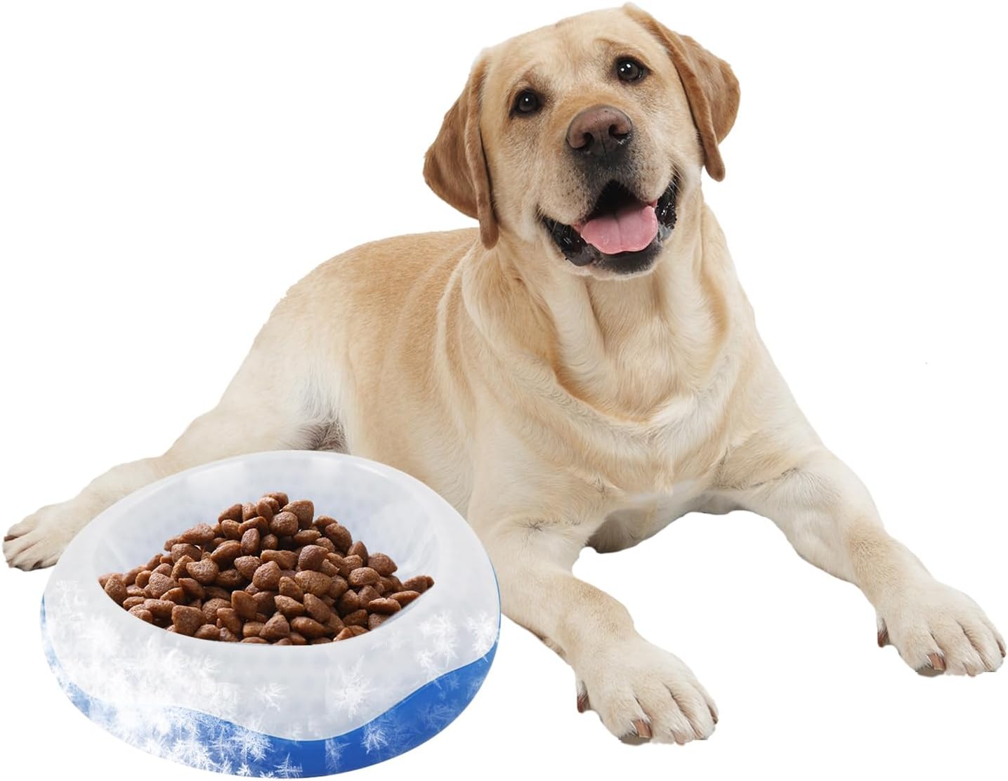 All For Paws Dog Cooling Bowl,Chill Out Cooler Dog Bowl