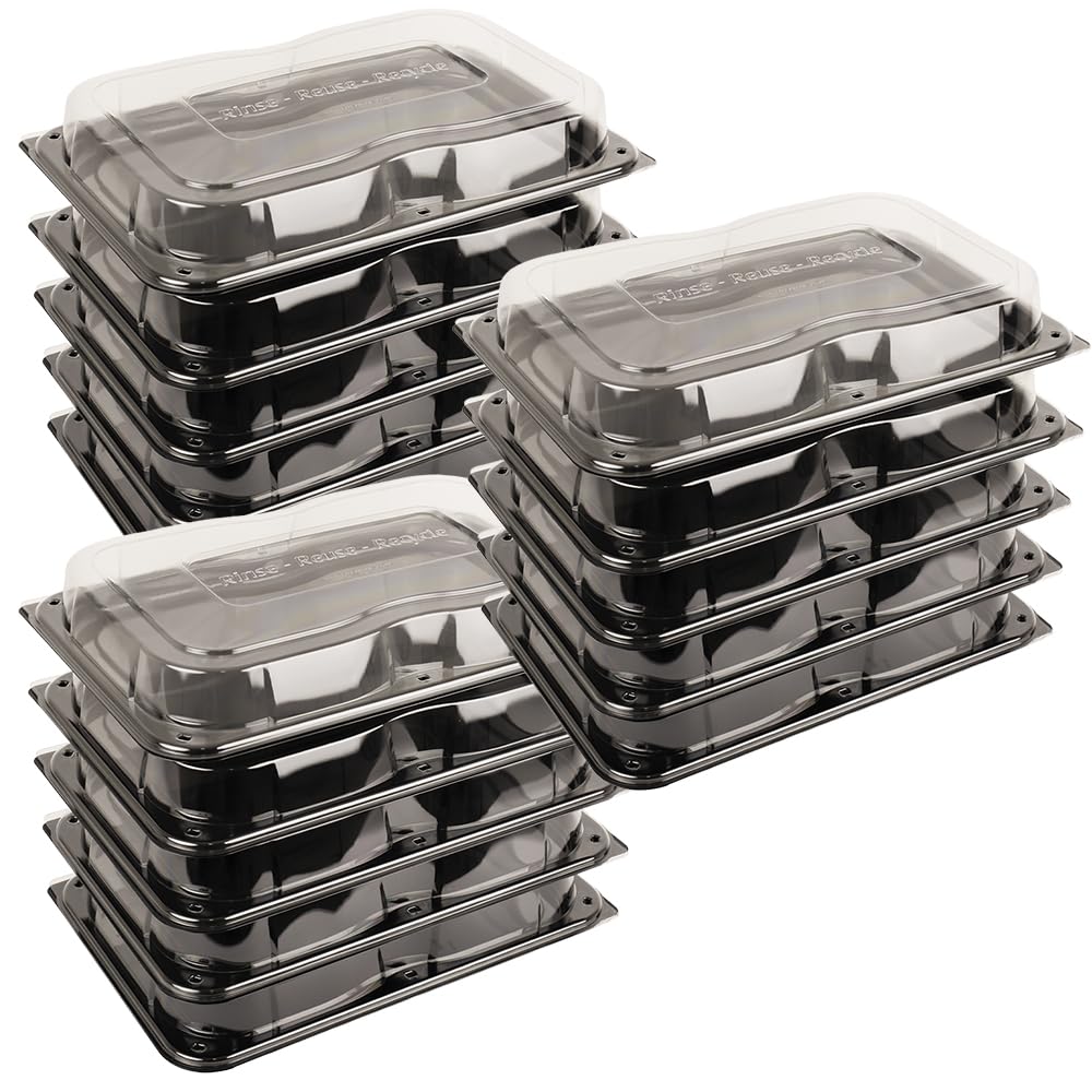 delisupplies 15 x Ultimate Large Sandwich Platter with Lid, Unique Press Stud Secure Closing, Rectangle Food, Cake, Tray Set Black Base Clear Lid Serving Platters for Buffet, Catering, 460 x 310mm