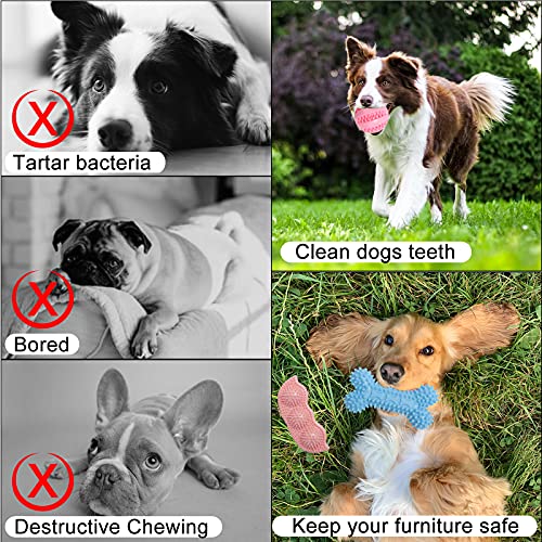 Hpethf Puppy Teething Chew Toys For Small Dog Toys, Puppy Teething Rings Rubber Interactive Chewers Relieve Itching Treat Ball Bone Clean Teeth Toy 6 Pack #TOP4