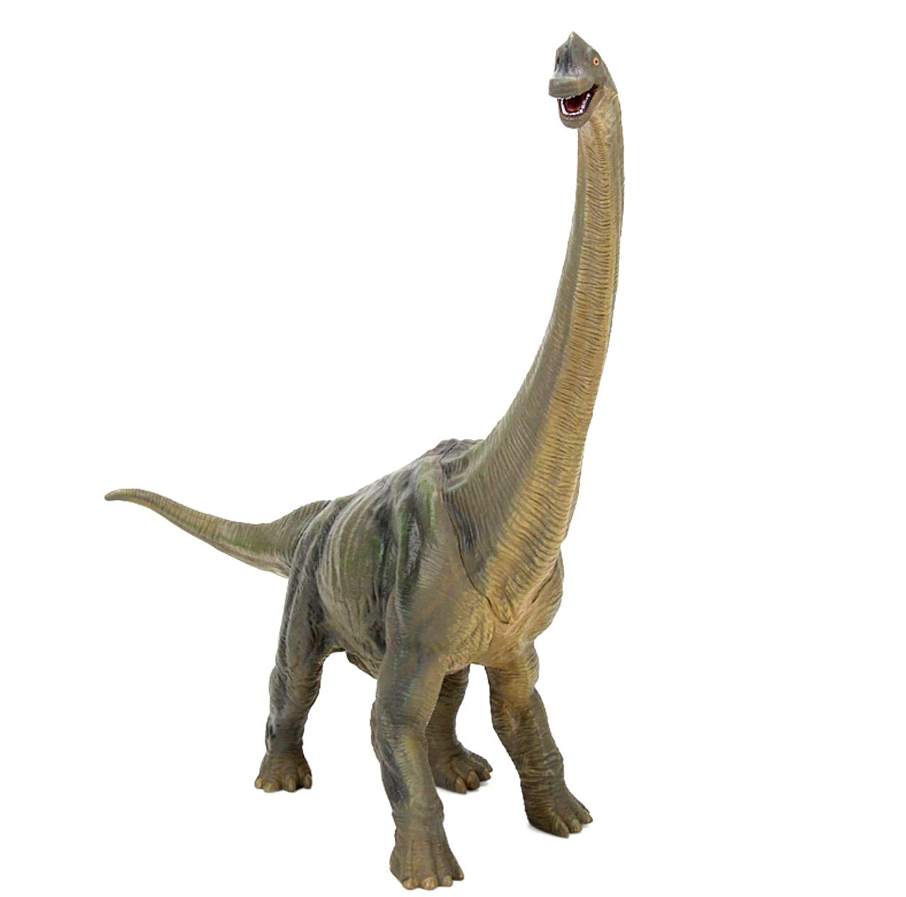 Amazon.co.jp: Fuerzon ブラキオサウルス 恐竜 巨大 全長36cm 高さ33cm