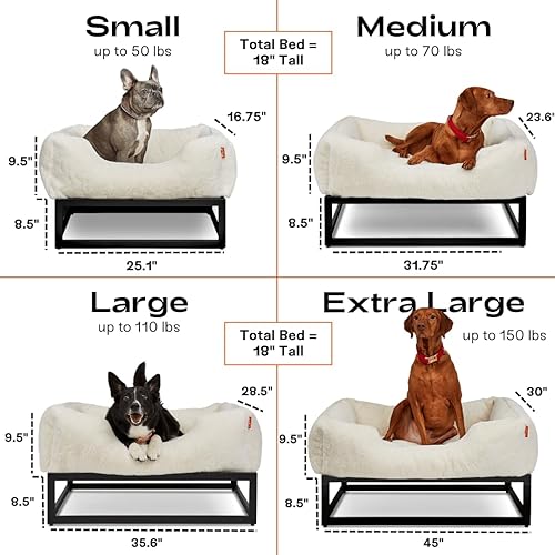 Miniatura 4 de FUZI Cama elevada para perro pequeña, camas elevadas de lujo para perros, funda de cama extraíble y lavable a máquina, cama ortopédica para