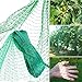 Produktbild Qune Grünes Anti-Vogelnetz, 4 x 10 m Gartenteich Pflanzenschutz Netz Schädlinge Nager Vögel Kontrolle Netz für Garten Bauernhof, Obst Gemüse, nicht leicht zu reißen und wiederverwendbar