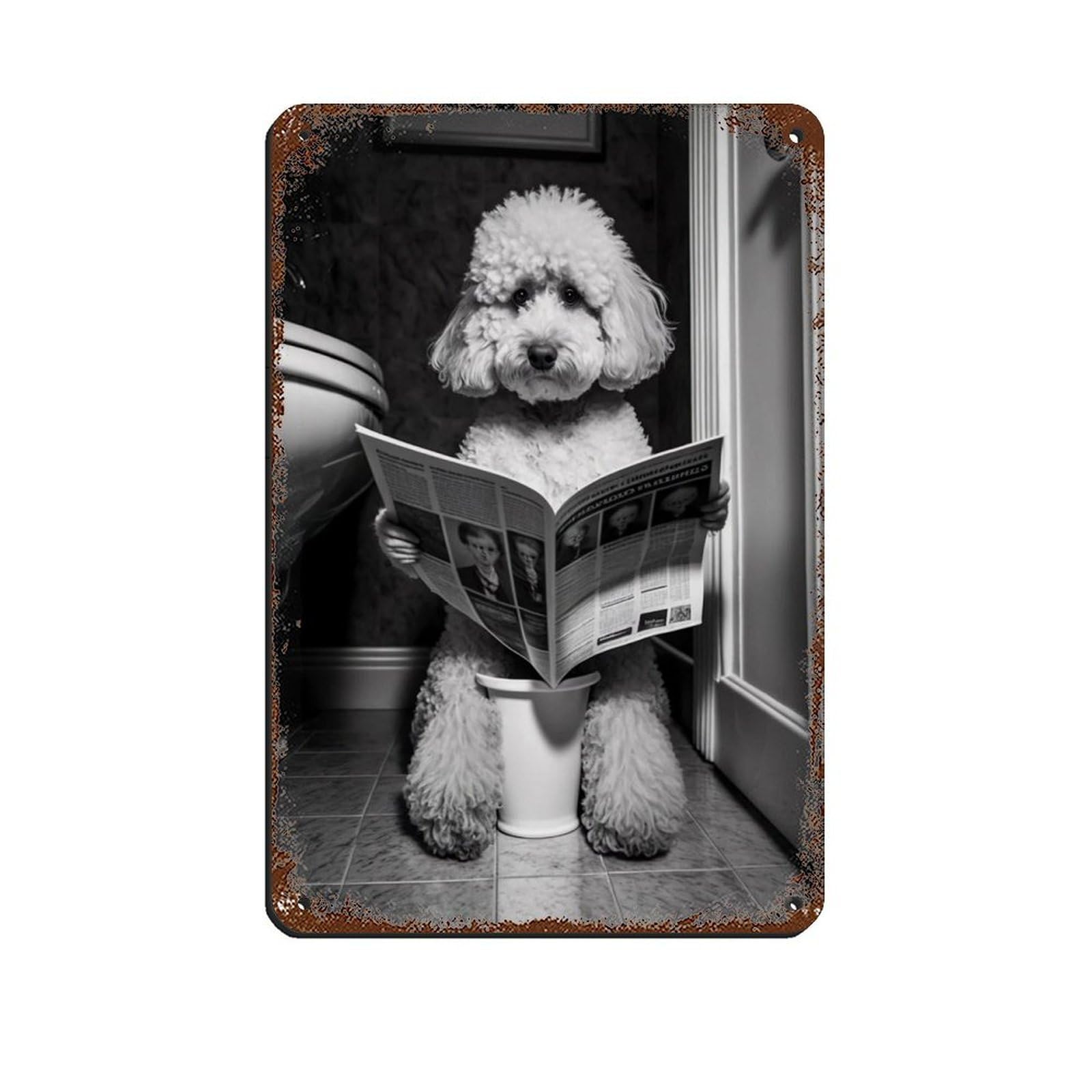 Poodle Sitting on The Toilet Reading A Newspaper Retro Poster Metal Tin Sign Chic Art Retro Iron Painting Bar People Cave Cafe Family Garage Poster Wall Decoration 8x12inch(20x30cm)