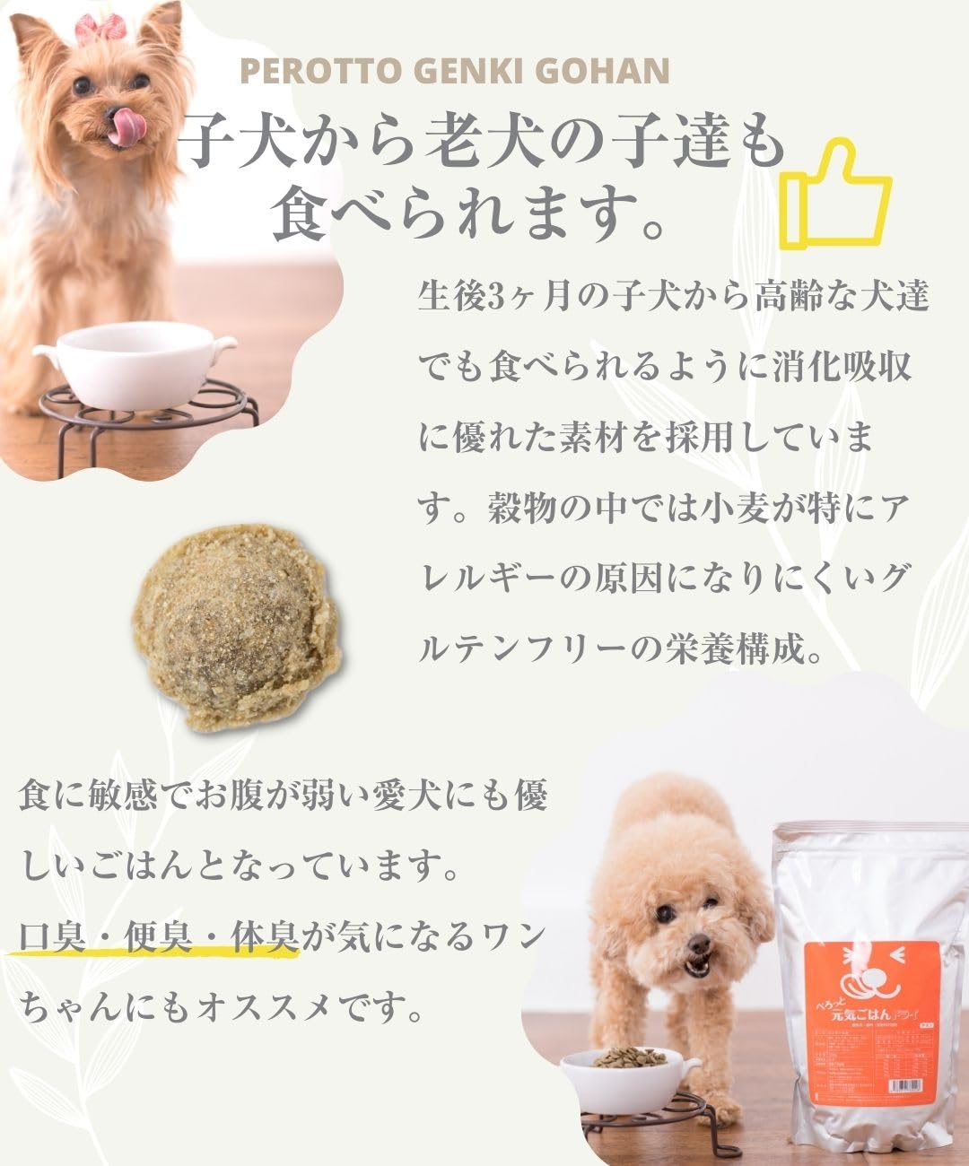 Amazon | 【ペット栄養士監修】ぺろっと元気ごはん ドッグフード 全犬