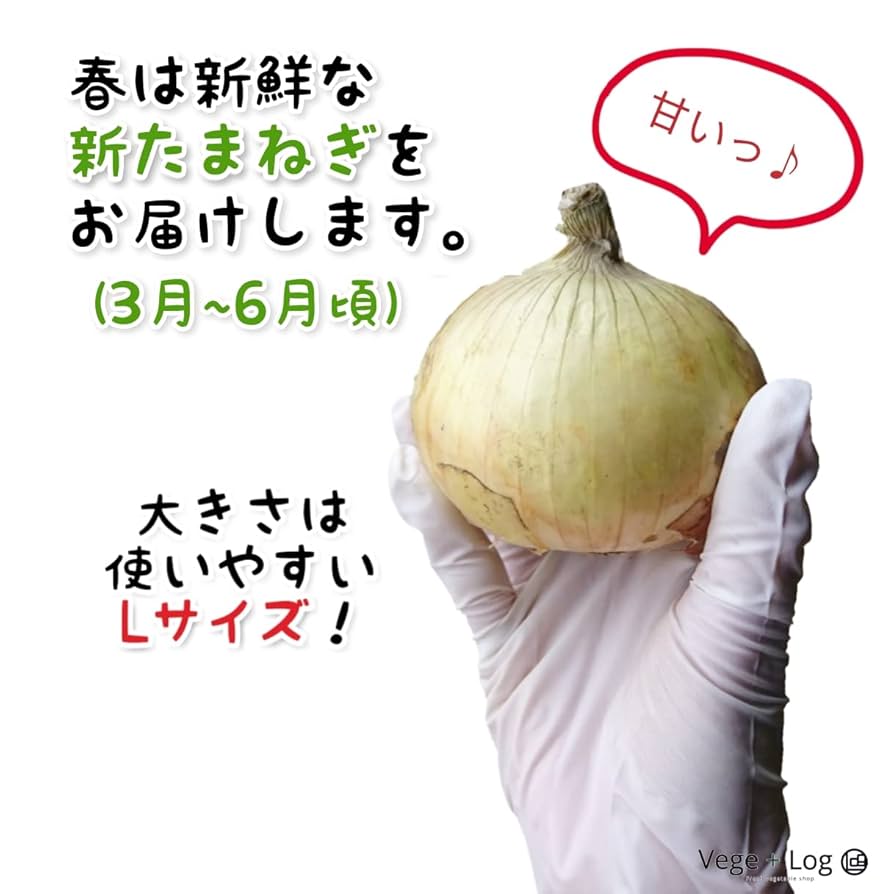 ⭕️秀品Lサイズ10Kg×3箱⭕️淡路島新玉ねぎ　たまねぎ　玉葱 今期終了】淡路島春の新玉ねぎ 10kg×2箱 計20kgセット（送料