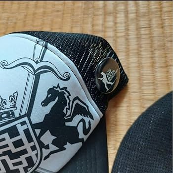 Amazon.co.jp: 布袋寅泰 25th ツアーグッズ 帽子 : おもちゃ