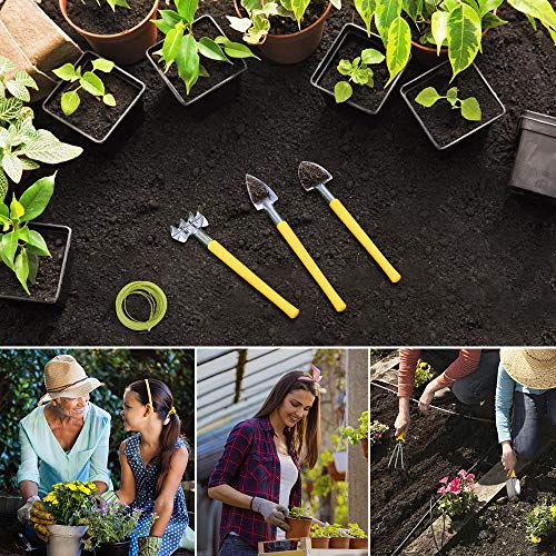 MOSFiATA Garden Tools Set 14 Pcs Stainless Steel Garden Tool Kit with Carrying Case, Heavy Duty Gardening Work Set, Include Pruner, Mini Rake, Big and Small Shovel, Sprayer, Weeder, Scissor etc.