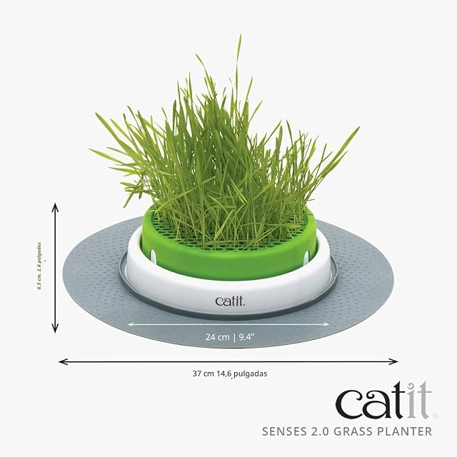 Foto 2 de 2 de Catit Germinador con Hierba Gatera, Verde, 1 Unidad (Paquete de 1)