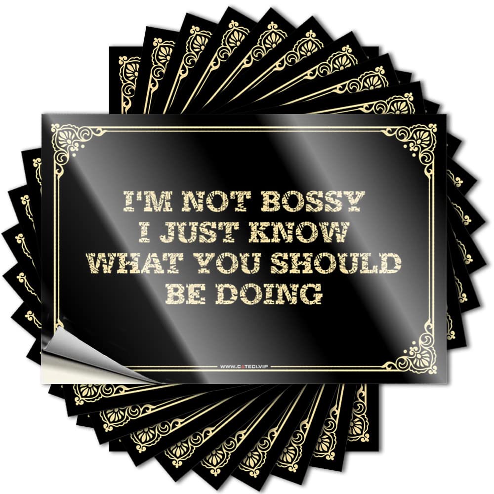 Tattoo Cool Vinyl Decals, Home Bar Decor Waterproof Hat Stickers for Water Bottle | I'm Not Bossy I Just Know What You Should Be Doing Perfect for Western Laptop Decor(12X18CM)