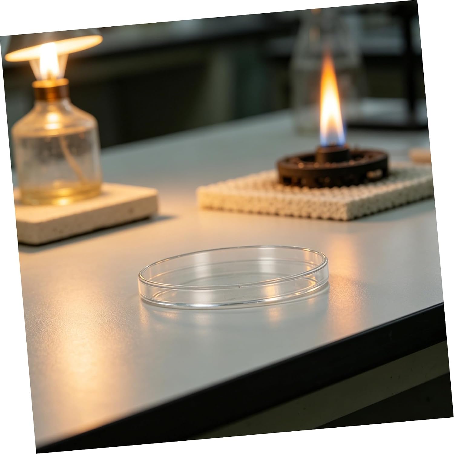 10pcs Plastic Sterile Petri Agar Plates Featuring Tight-Fitting Lids, Round Cell Culture Dishes 90mm for Biology and Mycology Lab Experiments