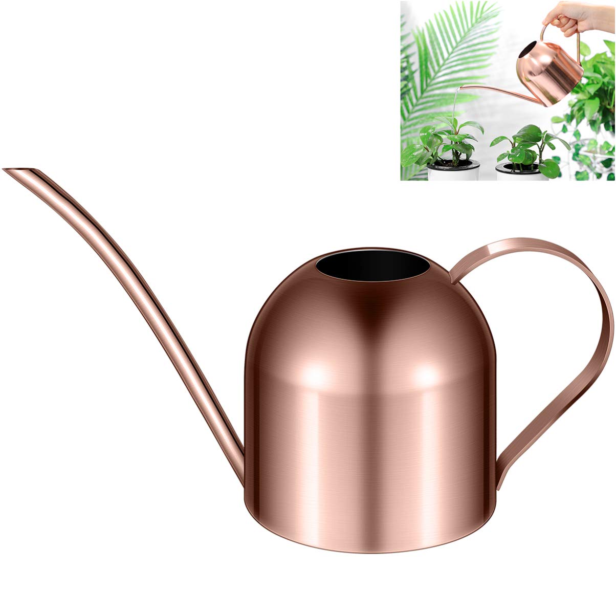 1 arrosoir en Acier Inoxydable pour Plantes d'intérieur ou Plantes d'intérieur - Long Bec - 1000 ML - Petit Pot d'arrosage de Jardin (cuivre)