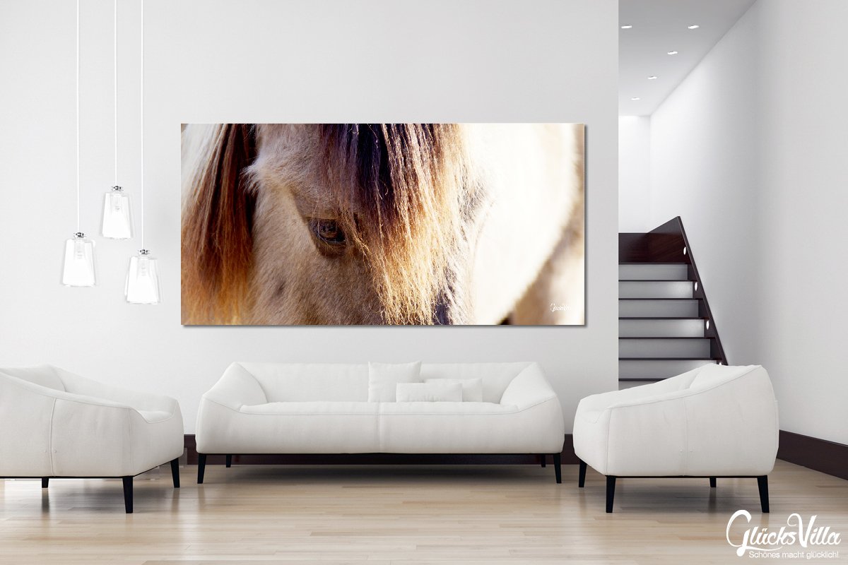 Glücksvilla - Wildpferd 2 (Leinwand-Bild 2 cm, 100 x 50 cm) | div. Maße - aus DE - Kunstdruck Deko Wandbild quer - Pferd Pony Bauernhof Natur Tier