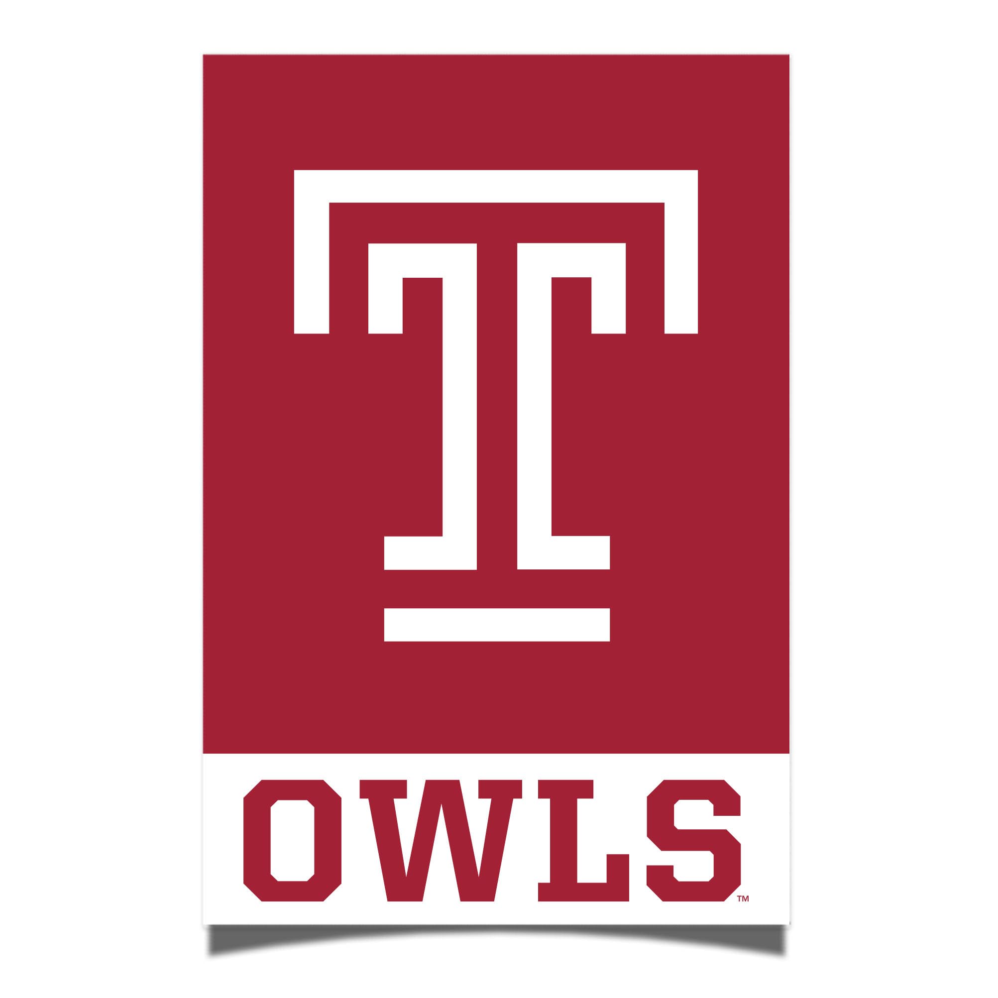 Desert Cactus Temple University Poster TU Owls 24 x 36 inch Room Office Décor Decoration Official Fan Gear (24x36 Inch,Version 1A)