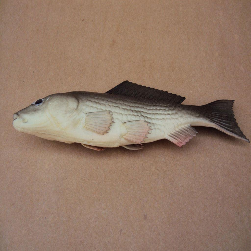 ATORSE® Vivid Artificial Cyprinoid Carp Toy Imitation Food Home Store Pretend Decor