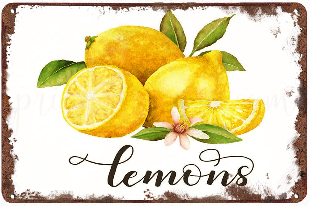 Vintage Blechschild Zitronen Design 20,3x30,5cm - Lustige Wanddekoration Für Zuhause