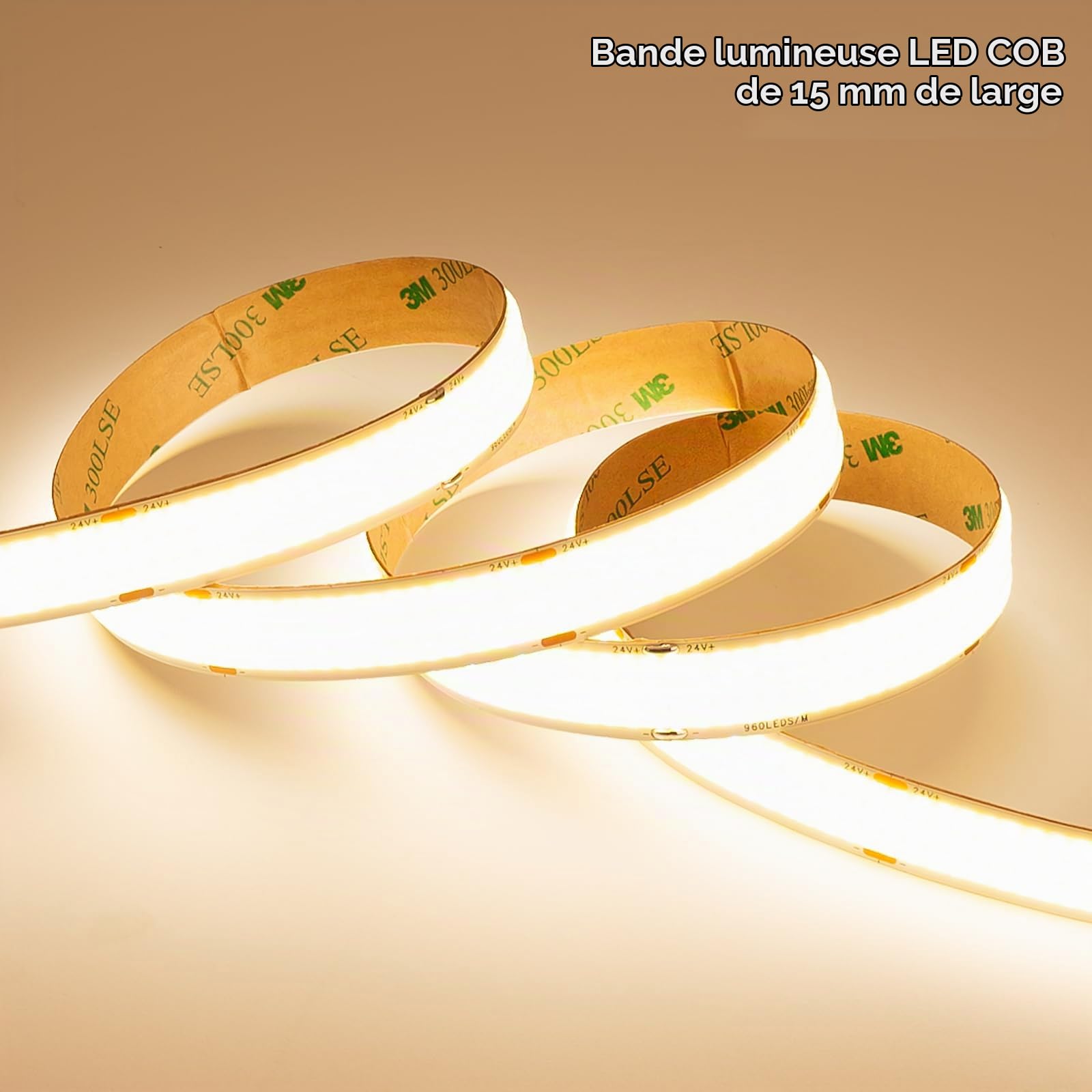 BENLUN Large 15mm Ruban LED COB Super Lumineux 24V 10m avec Transformateur