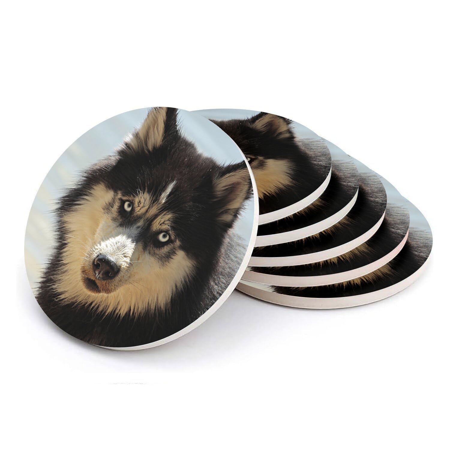 Dessous de verre chien loup husky céramique pour apéritif entre amis