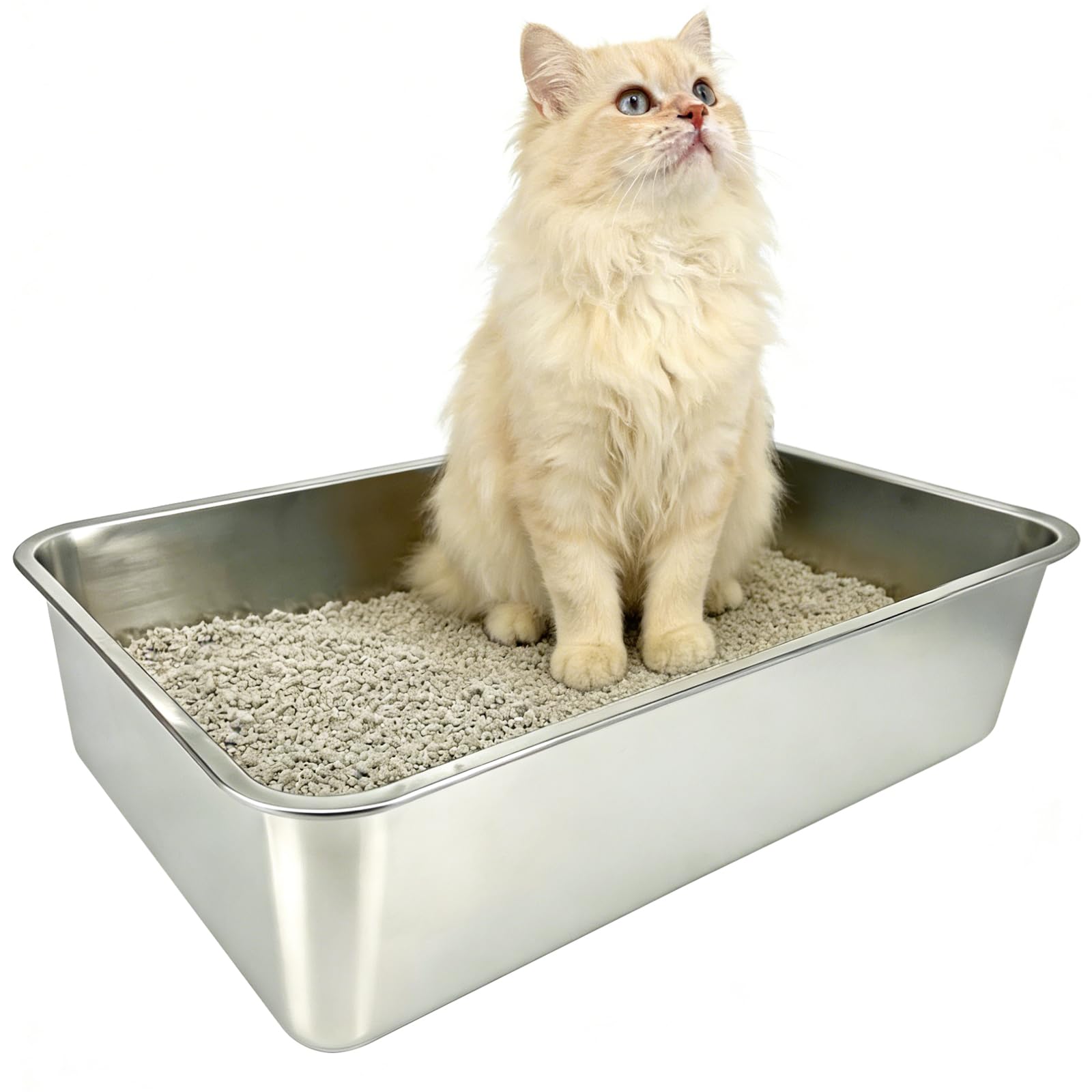 Edelstahl Katzenklo Offen, 60x40x15cm – Geruchsneutral, Antihaftbeschichtet & Extrem Leicht zu Reinigen, Für Große Katzen, Mehrkatzenhaushalte und Kleintiere