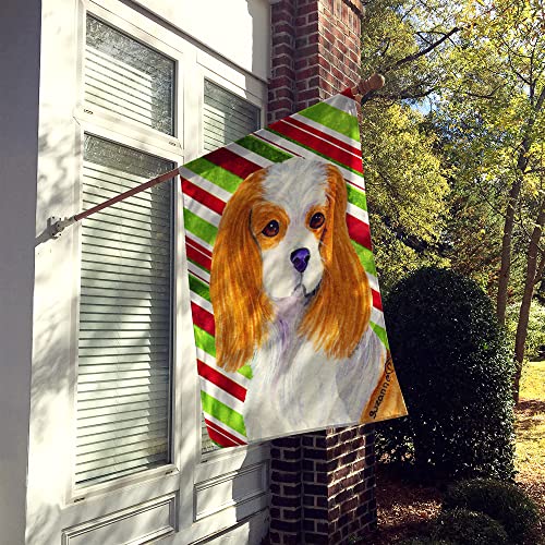 Drapeau Cavalier Spaniel imprimé double face en toile canevas résistante