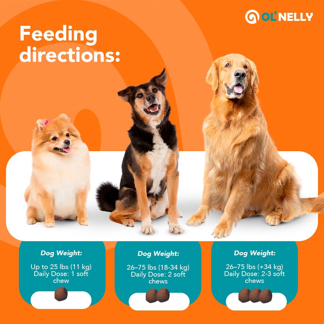 Dog Probiotic Chews – Pre & Probiotics for Dogs with Pumpkin-Digestive & Gut Health Support, Helps with Diarrhea, Gas & Constipation, Bacon Flavor, 30 Soft Chews – Ol'Nelly - image 7