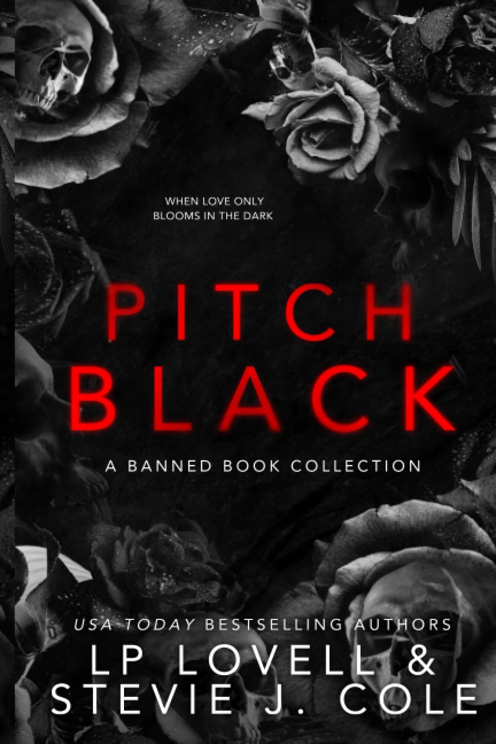 Pitch Black: A Banned Book Collection Paperback – August 23, 2023
