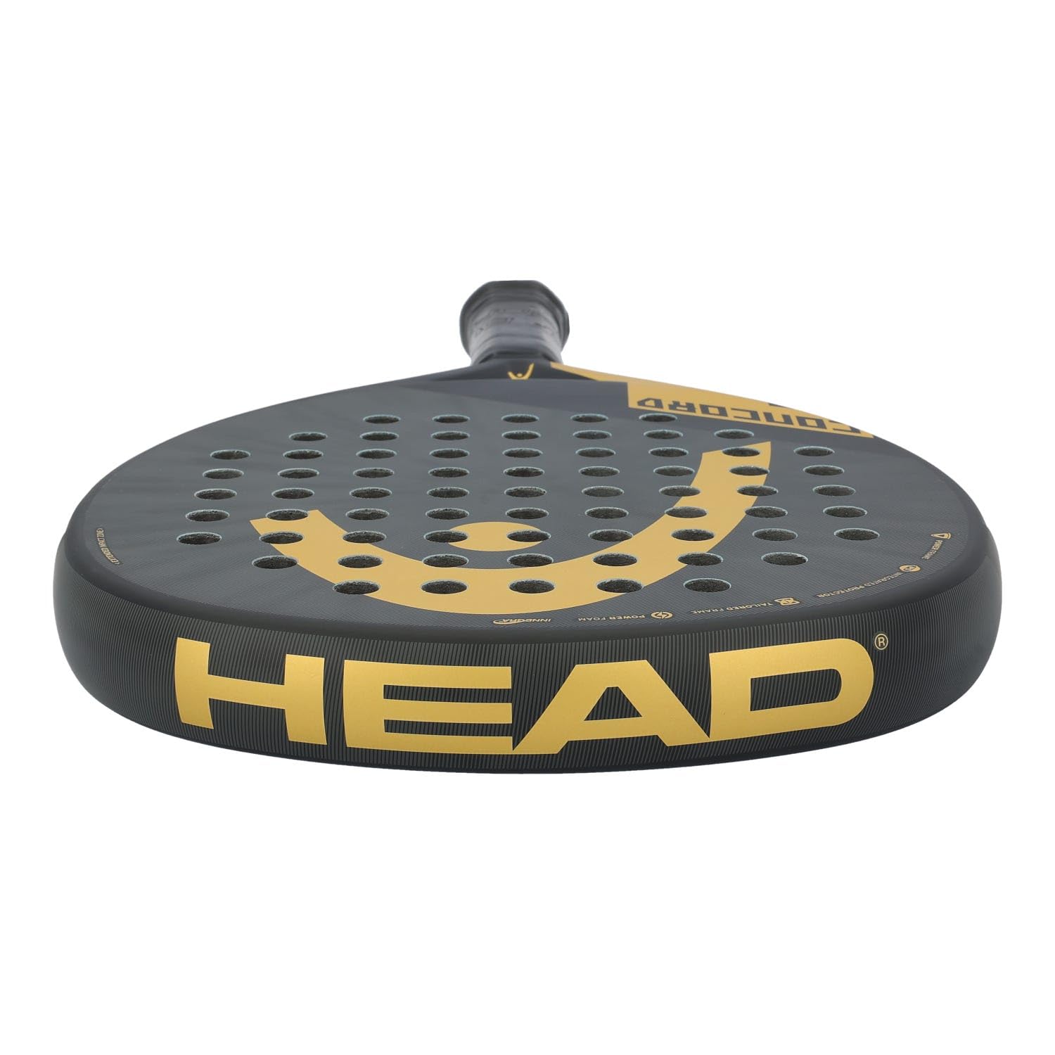 Head CONCORD 2025