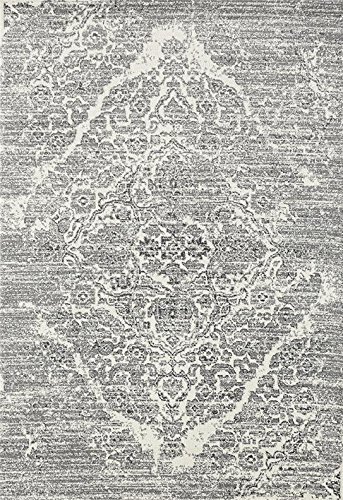 4620 Distressed Silver 7'10x10'6 Area Rug Carpet Large New