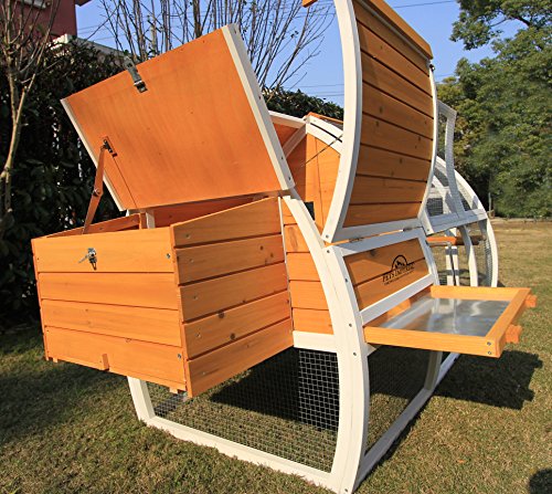 Pets Imperial® Dorchester Hühnerstall - Arche Geflügel-Nistkasten - Hühnerhaus mit Schiebetablett und zu öffnendem Dach… – Bild 7