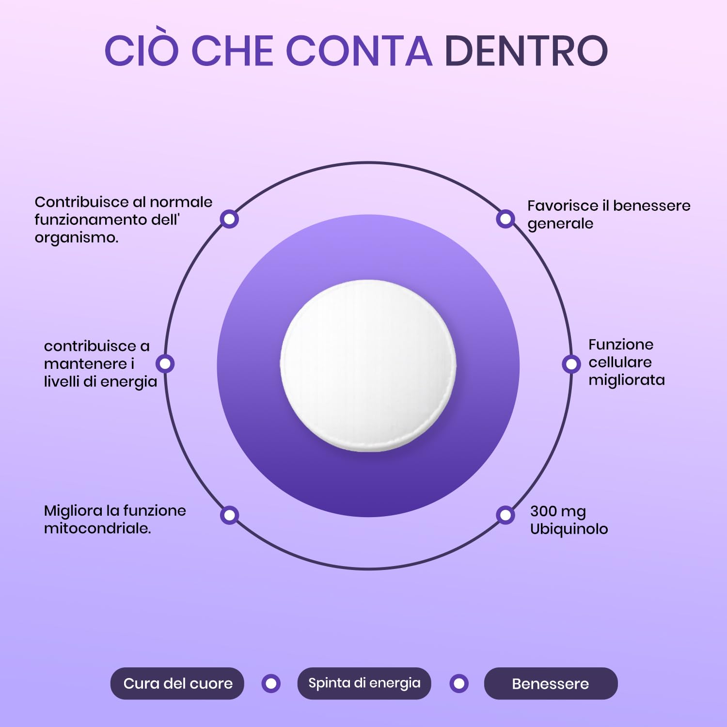 Con Ubiquinolo | Forma attiva coq10 | Elevato assorbimento/Bioattività migliorata | 300 mg,