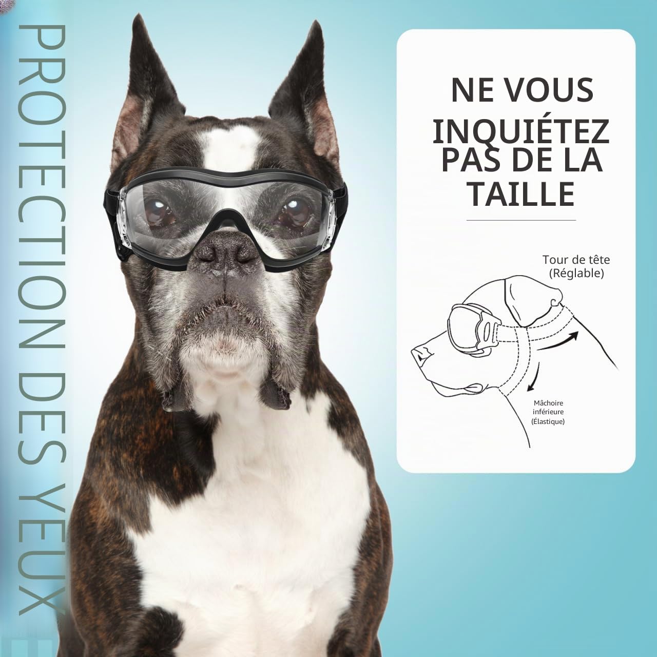 balacoo Lunettes de soleil pour chien : lunettes de soleil avec élastique réglable, imperméables, coupe-vent, pour chiens moyens/grands