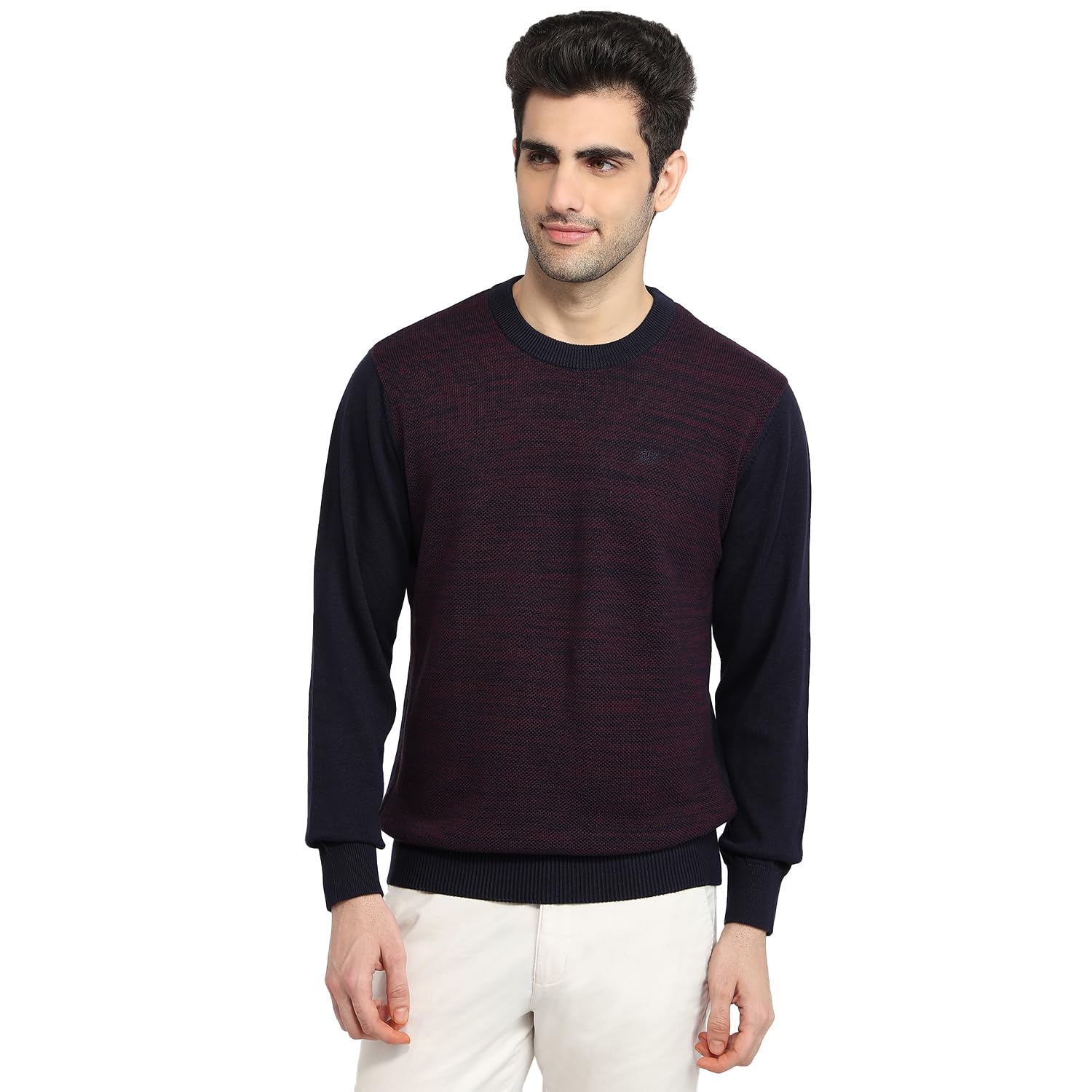 colorplus Men Regular Fit Jacquard Pattern Pure Cotton Full Sleeve Round Neck Casual Sweater Dark Maroon-picture-37