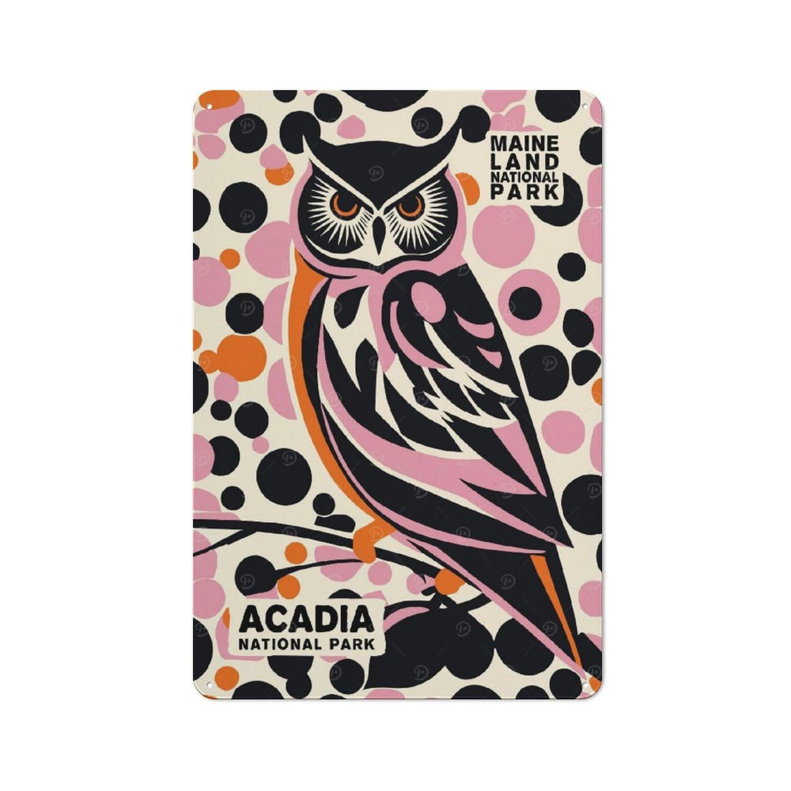 Junmoney Style-11 Owl Acadia National Park Retro Tin Sign 30X20cm For Café Or Restaurant, Housewarming Wall Decor For People Furnishing Café And Restaurant