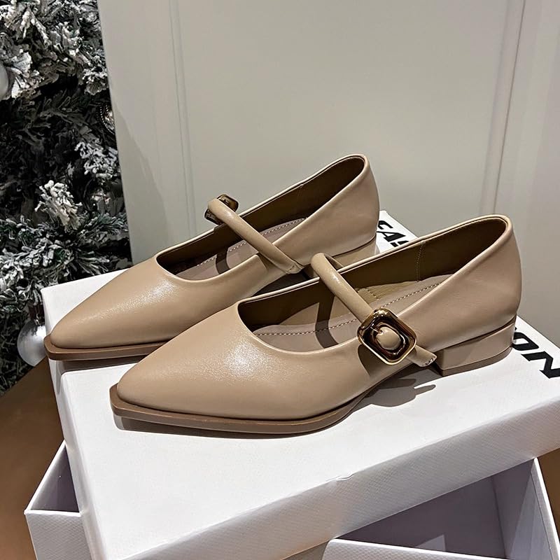 ZQW Women's Pointed Toe Ballet Flats Mary Jane Low Block Heel Buckle Design Elegant Comfort Shoes Daily Office Evening3